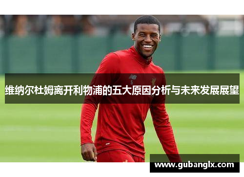 维纳尔杜姆离开利物浦的五大原因分析与未来发展展望